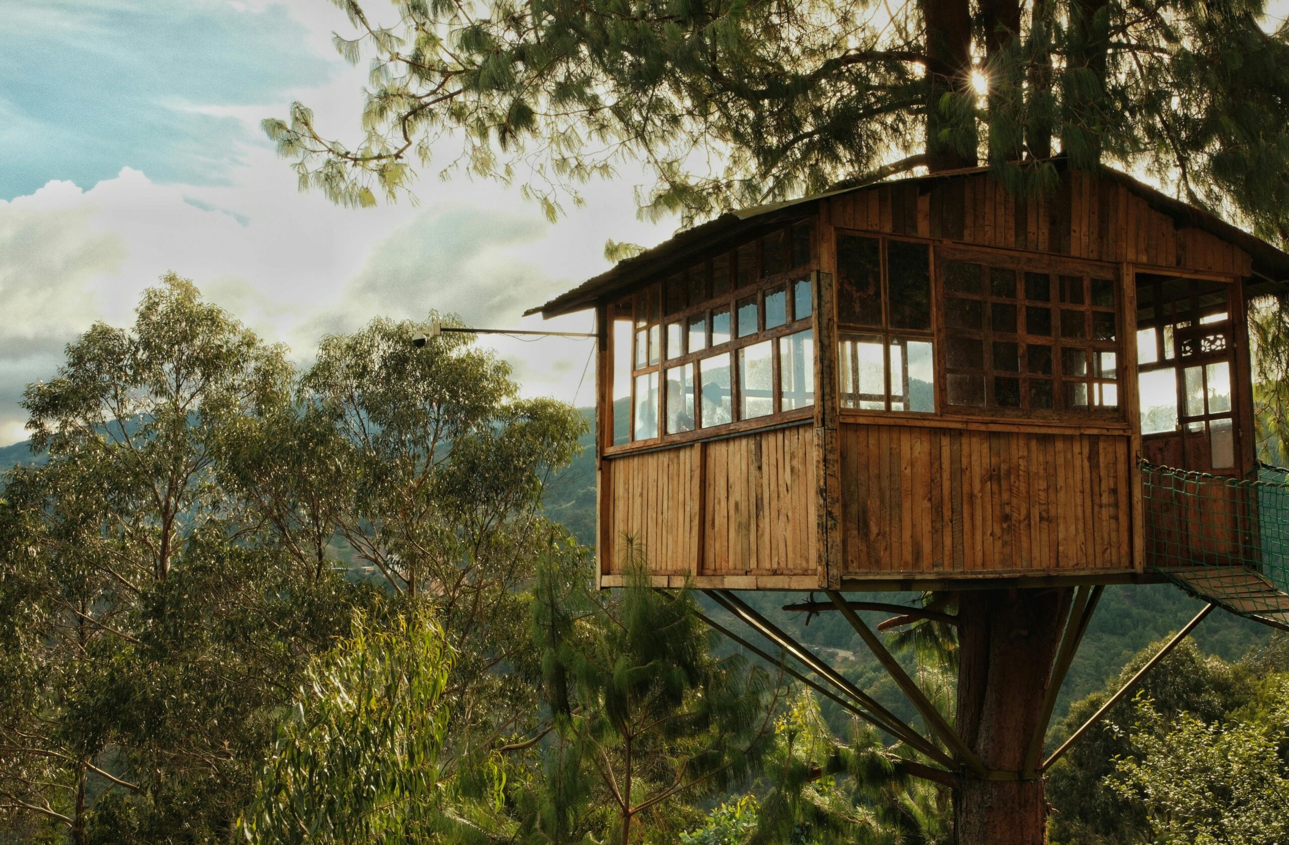 Zielony azyl – Dlaczego domki na drzewach to idealne miejsce na relaks?